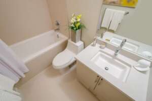 Vigilant Bathroom Fixtures Shutterstock 188218283