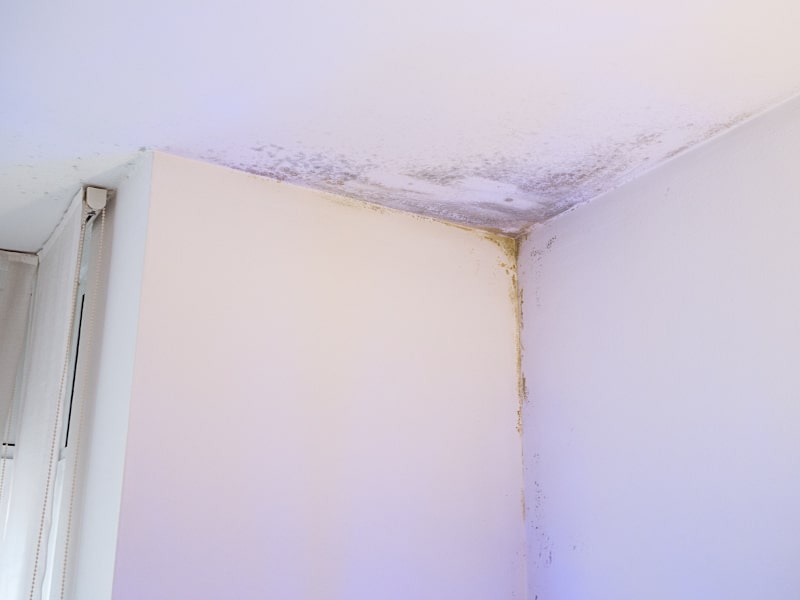 4 Signs You Have a Water Leak in Ocean Pines, MD